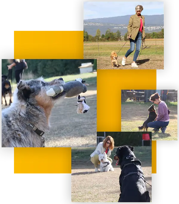 Olivia Garz im Training mit Hund