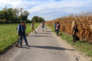 Soziales Hundetraining in der Schweiz mit professioneller Trainerin