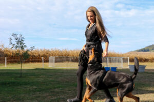 Hund und Besitzer bei einer sozialen Trainingsstunde in Bern Bern
