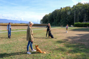 Trainingseinheit für Hunde in der Hundeschule Thun