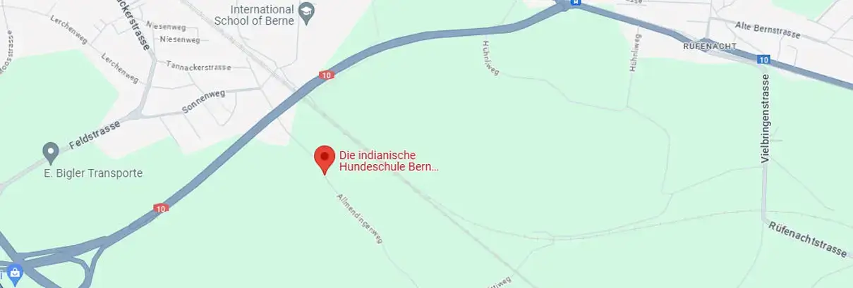 Hier wird mit den Hunden trainiert